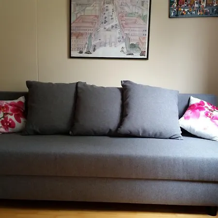 Wittelsbacherstrasse 10 公寓 巴特莱辛哈尔